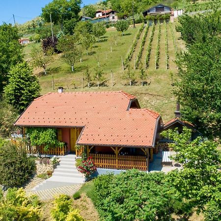 Kuca Za Odmor Hiza I Vila Krapina Εξωτερικό φωτογραφία
