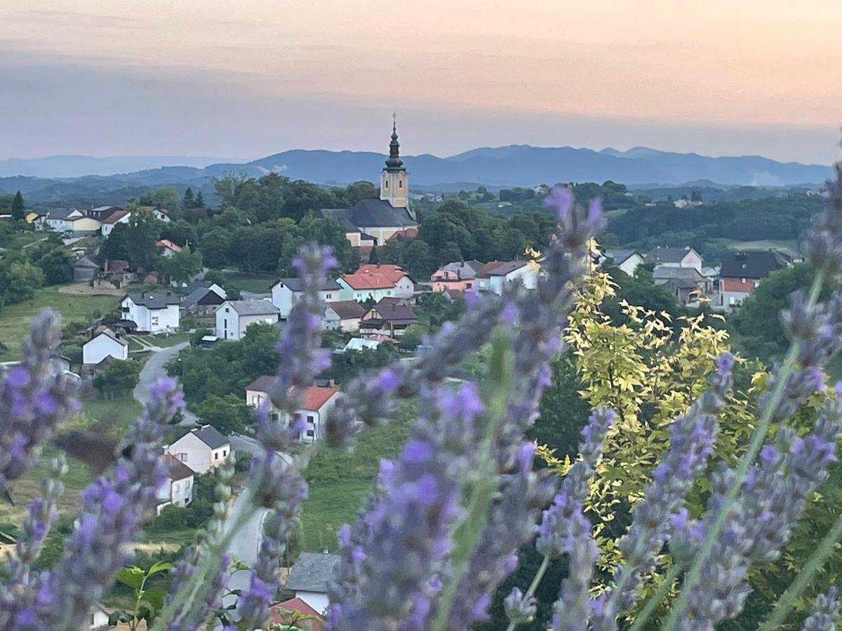 Kuca Za Odmor Hiza I Vila Krapina Εξωτερικό φωτογραφία