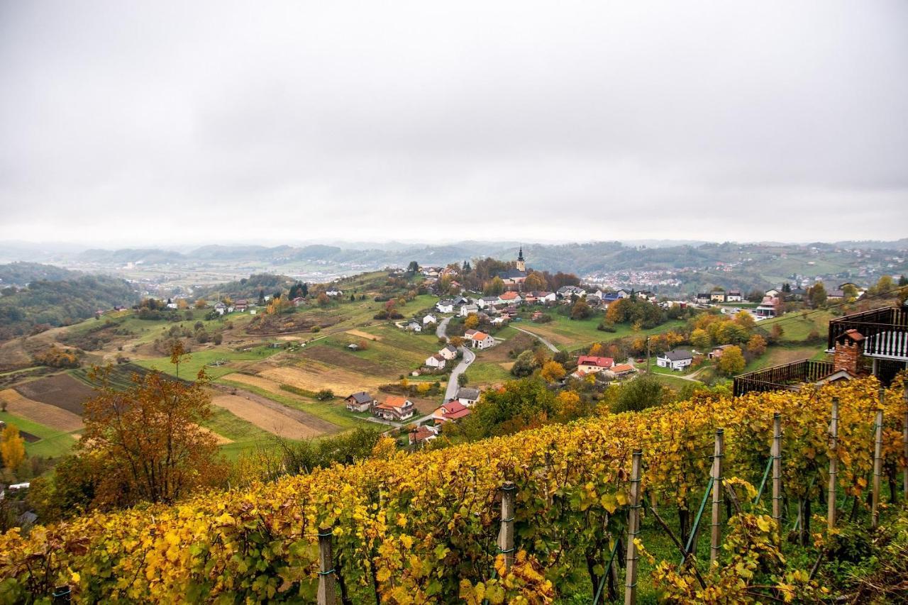 Kuca Za Odmor Hiza I Vila Krapina Εξωτερικό φωτογραφία